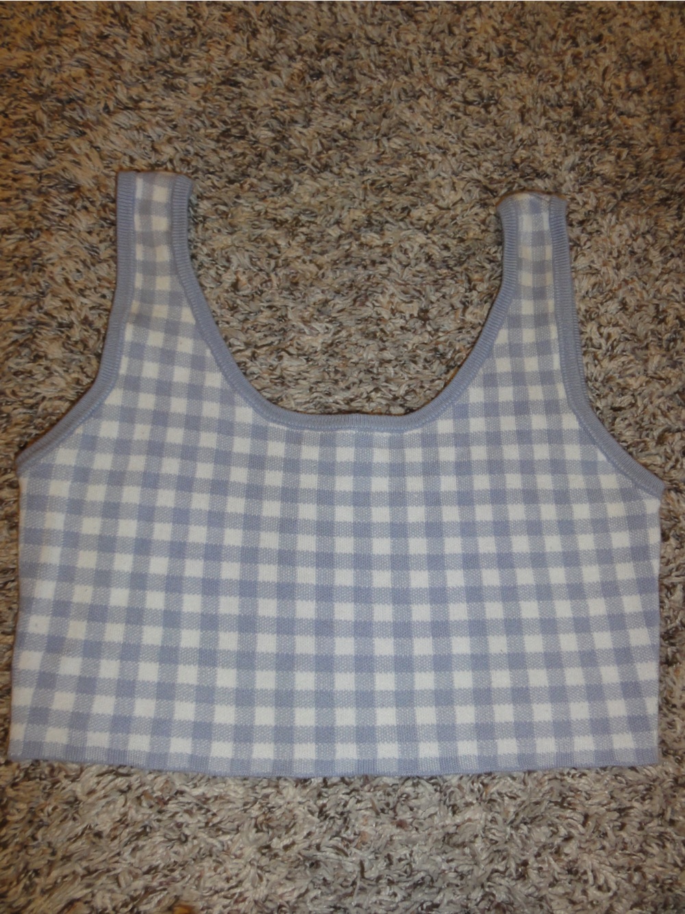 Garage Blue and White Gingham Crop Top
